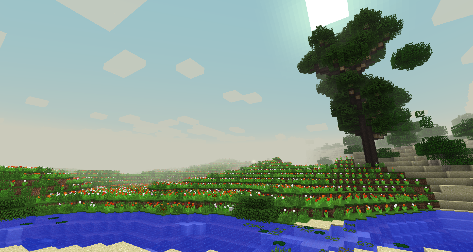 minecraftian flower field